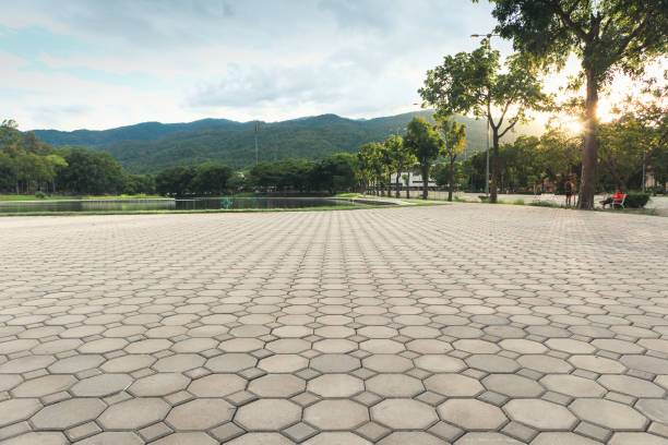 Best Custom Driveway Pavers  in Arcadia, LA